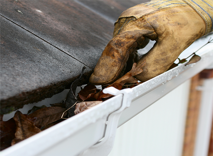 photo of gloved hand removing leaves from roof gutter